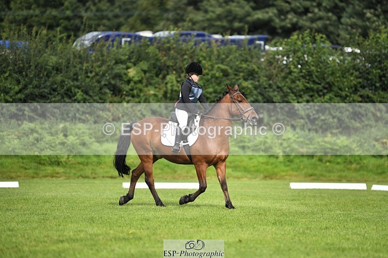 230826-101812-15433 - Sections C & D 10 to End