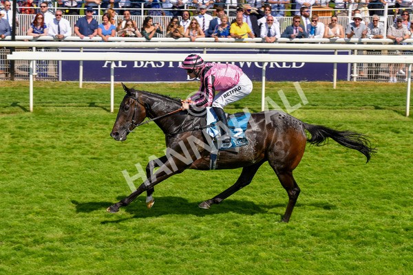 160623-Race 4-Chichester-6344 - Race 4 3.35pm Seat Unique Ganton Stakes