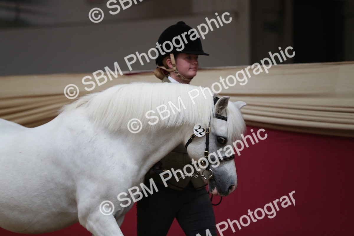 SBM_04903
