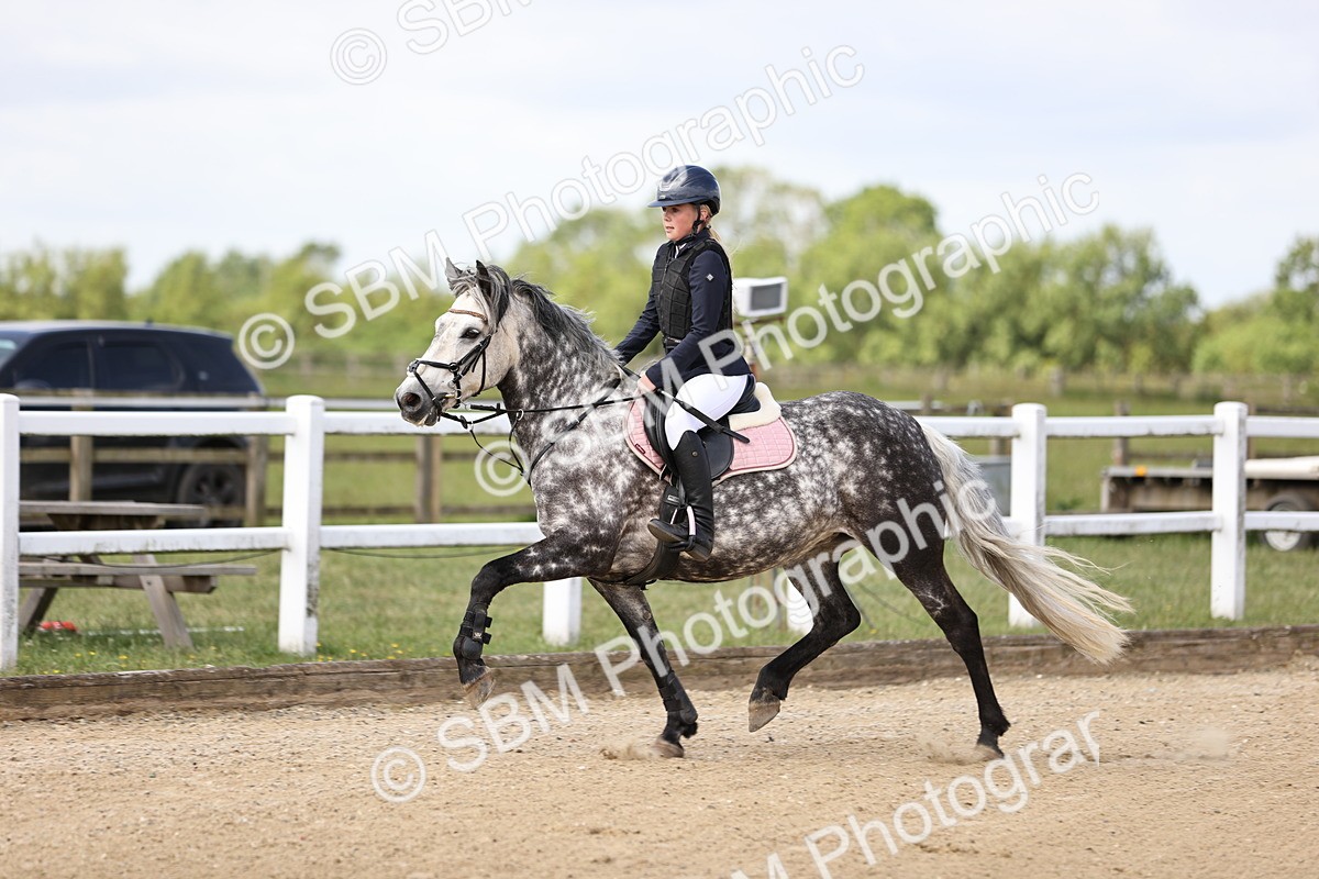 SBM_007253 - Class 2 - 80cm showjumping