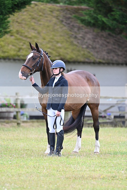 WJ7_7019 - Class 5a Most Handsome Gelding in Hand