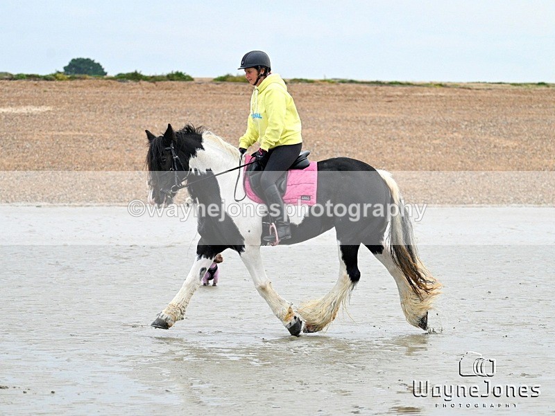 WJ7_8786 - Hayling Island Beach Shoot 22-09-24
