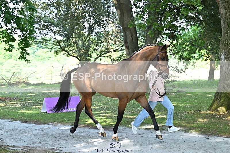 250521A-154640-00752 - B-364-Yasmin.Ingham-KINDA.CORVETTE