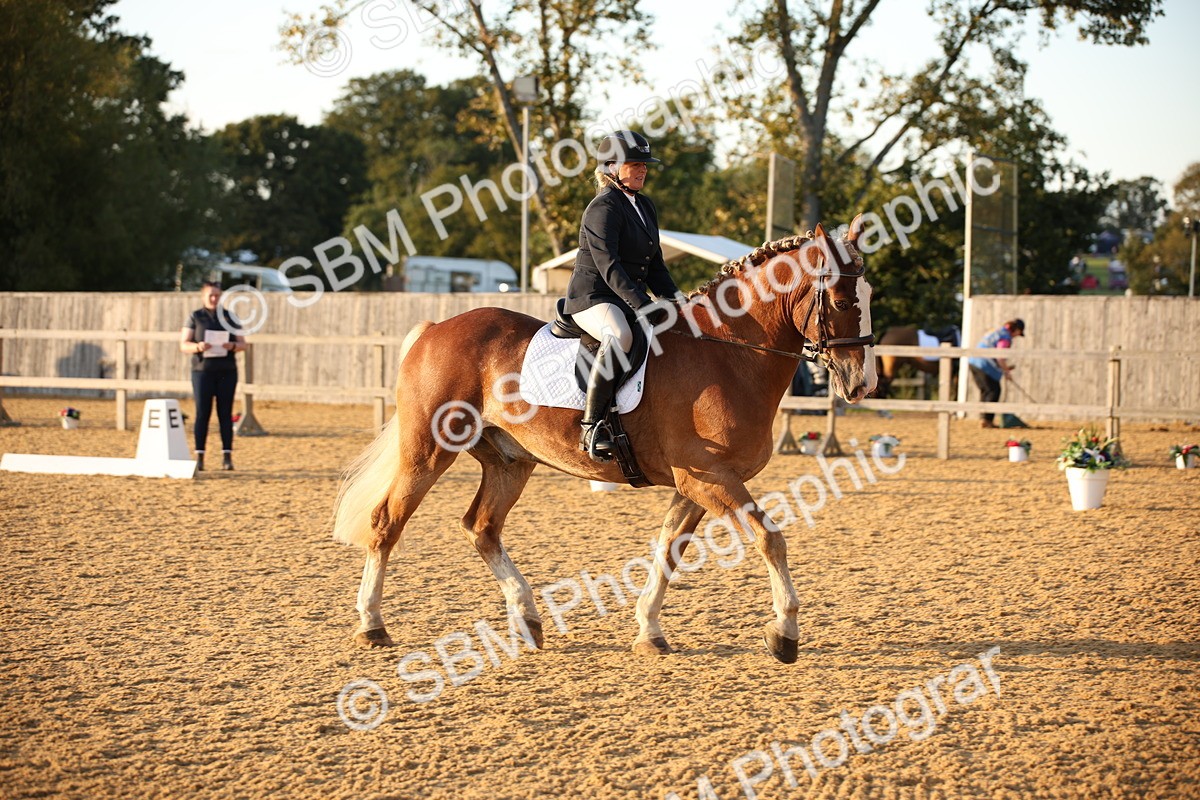 SBM_31523 - D11 - Small Tour Championship - Prelim 13