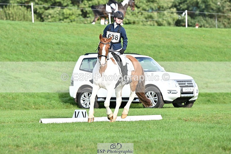 231020-102707-07622 - 638-I.FOUND.NEMO-Jacky.Jones-DR