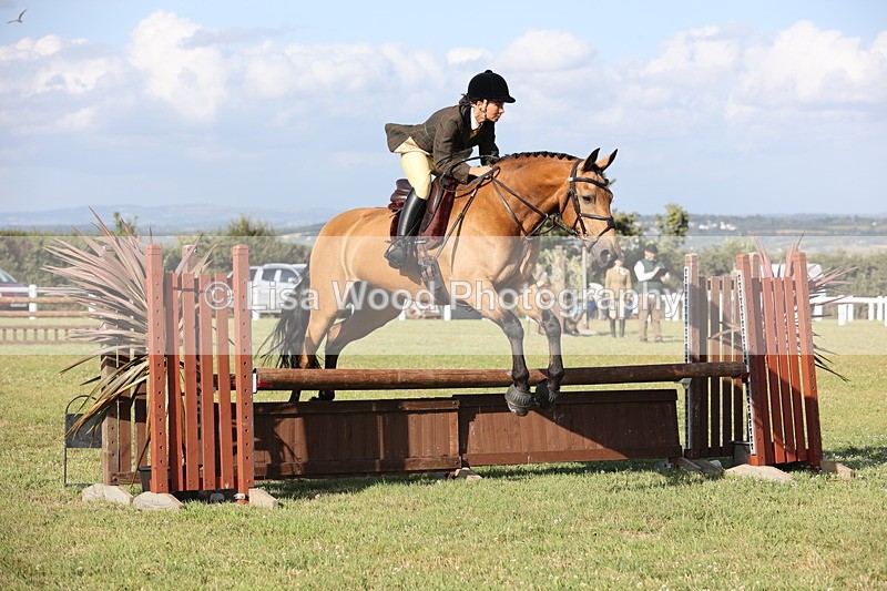 JPP_3183 - Class 21: Working Hunter 80cm