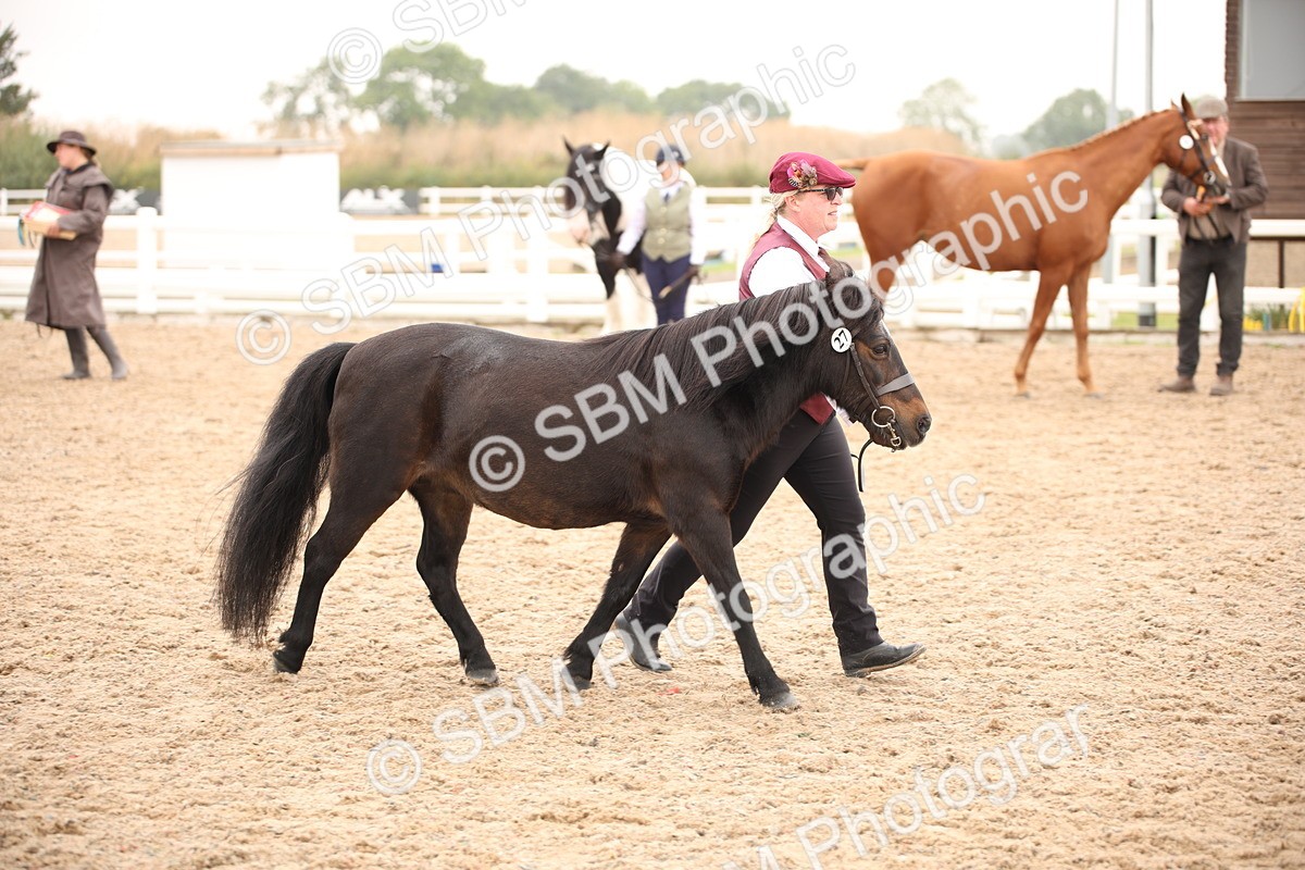 SBM_22157 - Class 707 - Ridden Groom-Helpers Class
