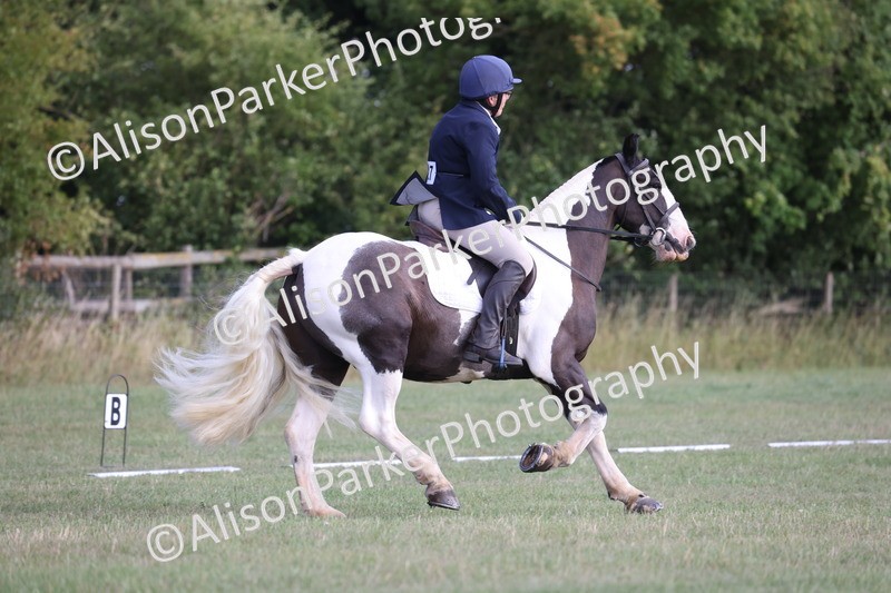 20250731-0050 - Class 2 - Prelim 3