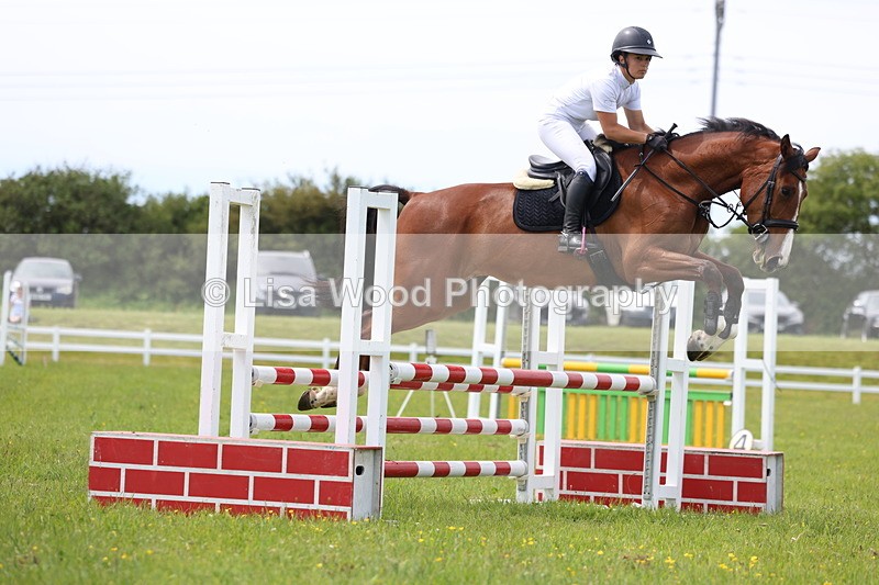 3E7A1496 - Class 13: Senior British Novice/90cm open