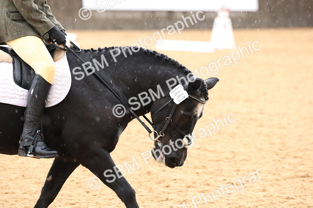 SBM_00620 - D1 - Small Tour Championship Intro 1