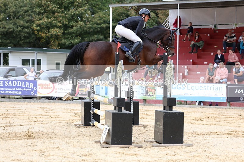 3E7A3395 - Class 9: Senior Foxhunter/1.20 open