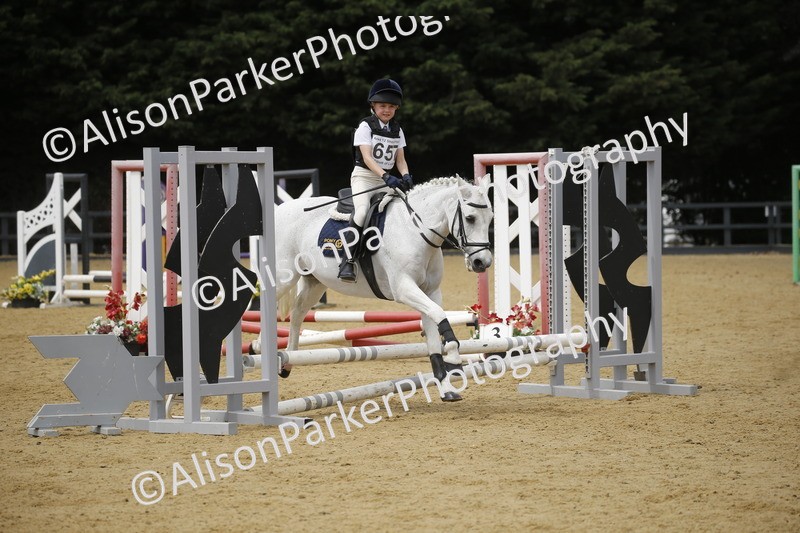 20250622-4717 - 50cm