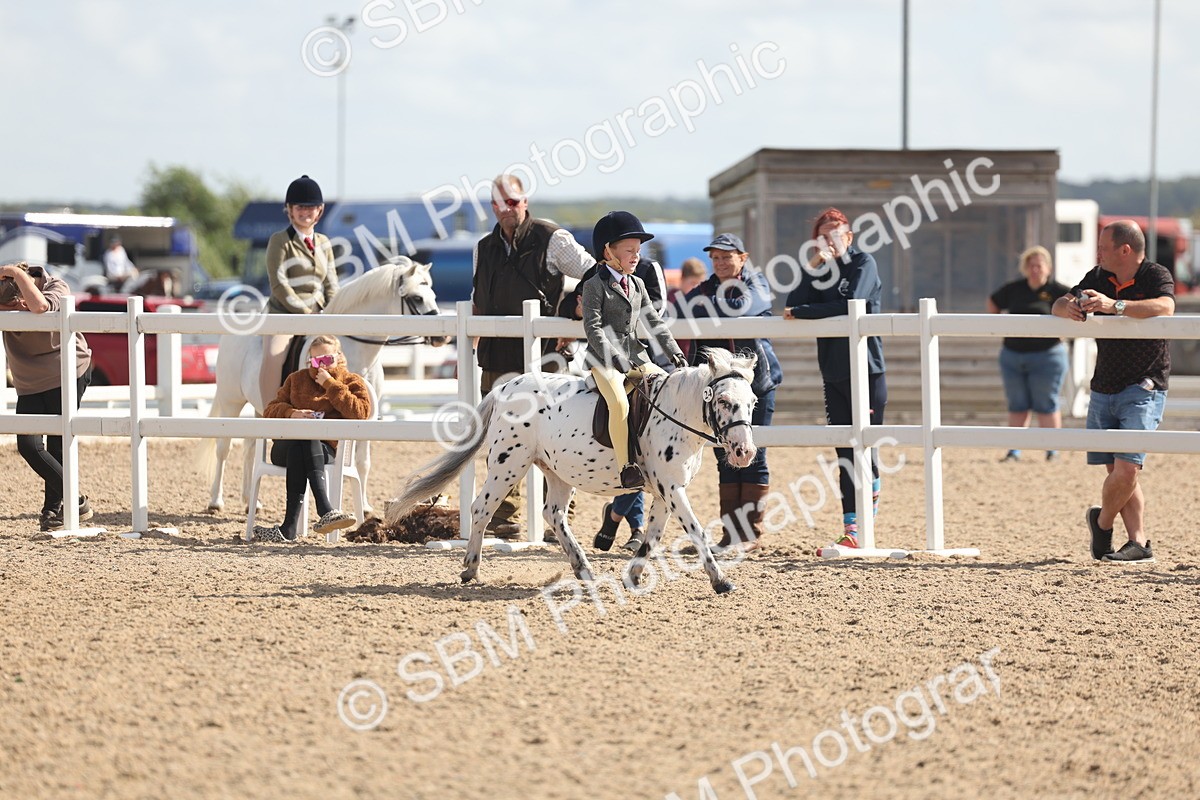 SBM_23124 - Class 806 - Young Rider 10ry and Under