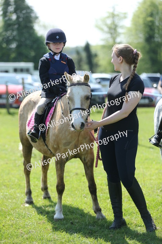 20250427-2717 - Class 6 - Pony Judge Would Most Like To Take Home