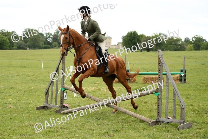 20250517-1484 - Class 22 - Open Working Hunter