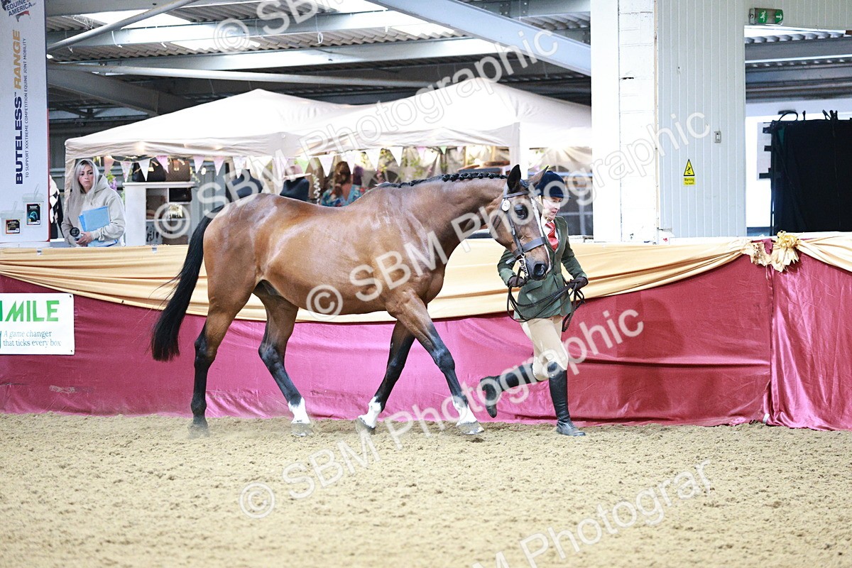 SBM_00174 - Class 1A - Area IH Diamond