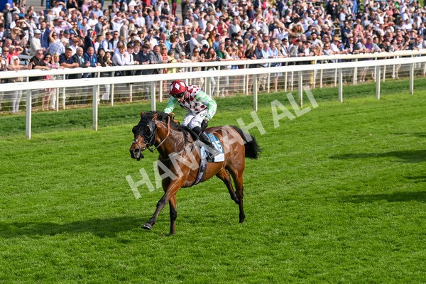 170524-Race 6-Riot-8517 - Race 6 4.45pm Yorkshire Equine Practice Handicap
