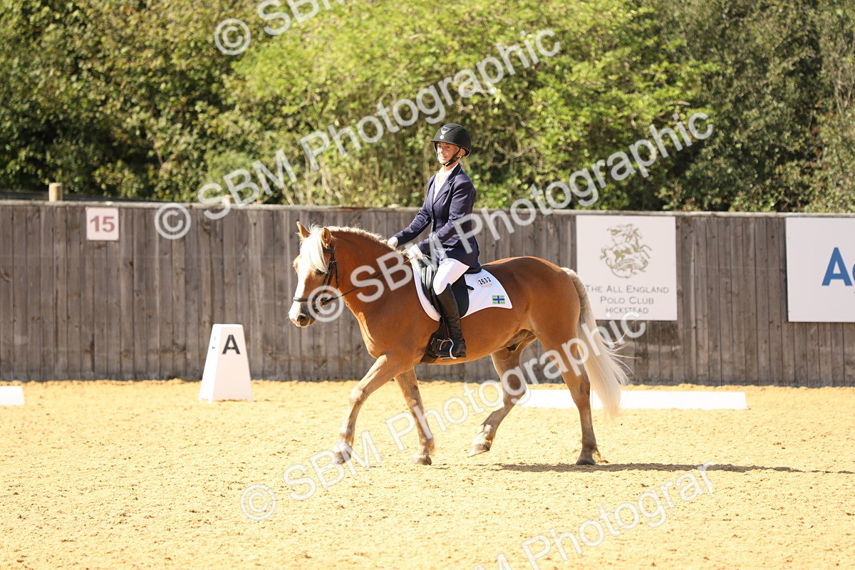 SBM_22381 - D17 - Grand Tour Championship - Novice 27