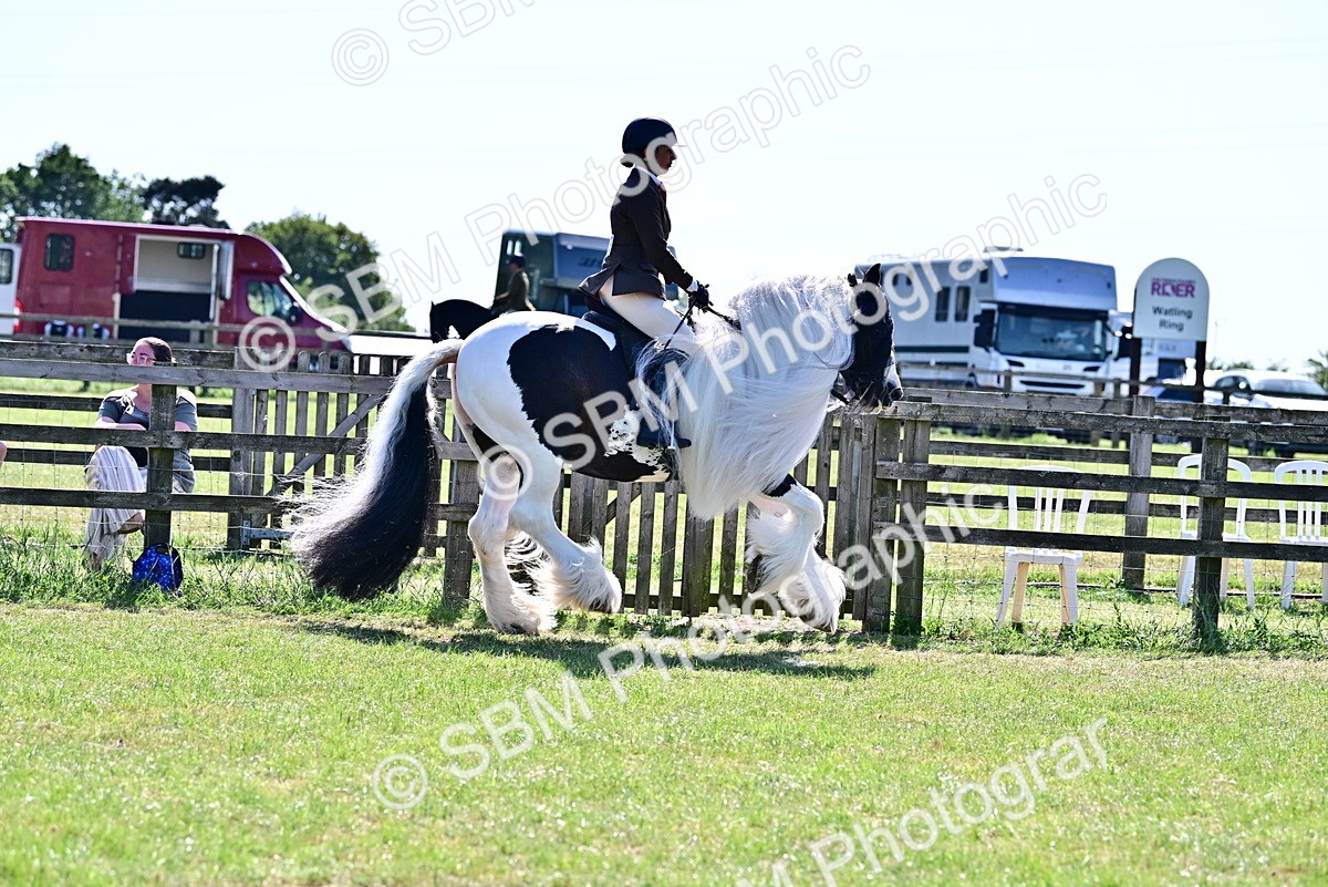 SBM_19381 - Class 101-102 - BSPS LIHS Performance Coloured Horse/Pony