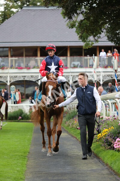 yr04092022r5-44 - Race 5 4.05pm Little Green Rascals Children's Nurseries Stakes