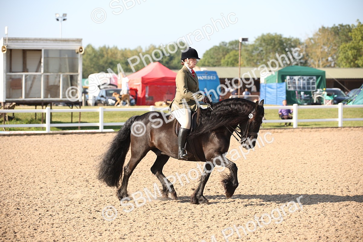 SBM_00644 - Class 14 Ridden M&M Wildcard