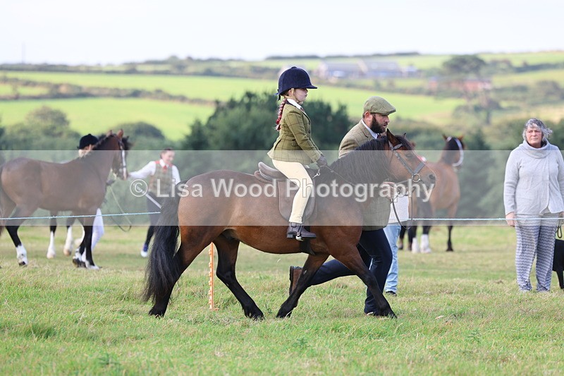 3E7A3540 - Class 2: Lead rein