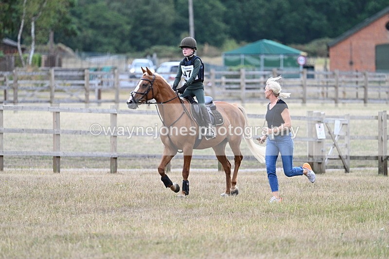 WJ7_1645 - 60cm Time 13:20 to 14:27