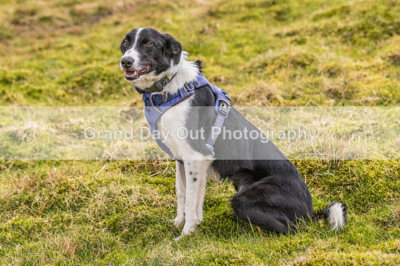 Keswick-584 - Inter Counties & Up and Down Mountain Running Champs (Junior & Senior Races) Sunday 21st April 2024