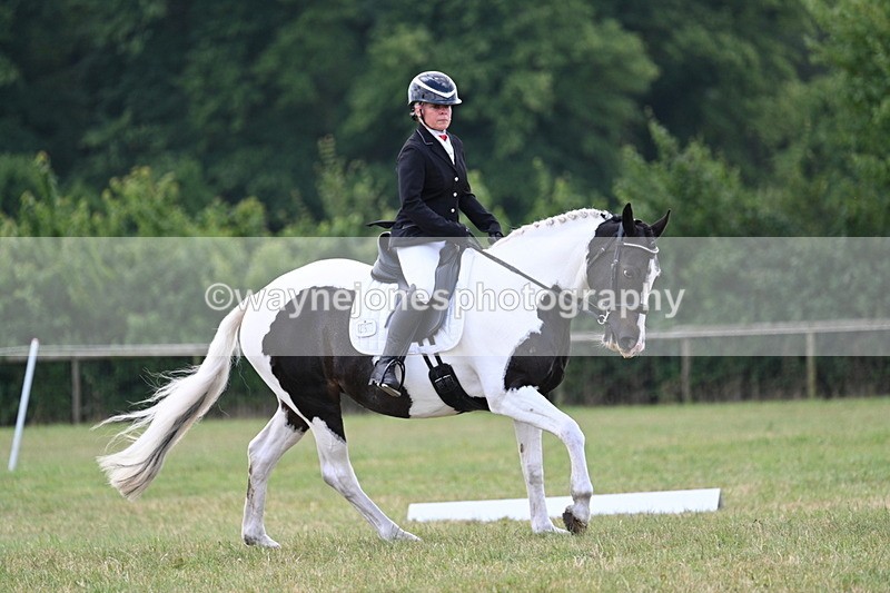 WJ7_5259 - Time 11:22 to 11:51