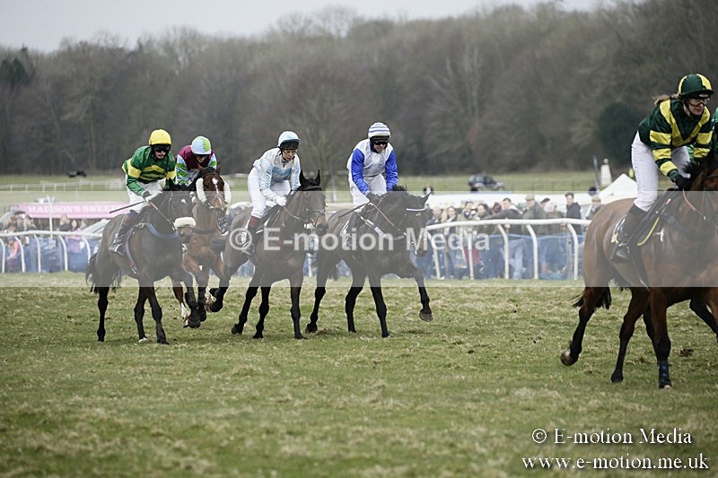 PtP 110318 449 - Hampshire Hunt Point-to-Point Hackwood Park 11/03/18