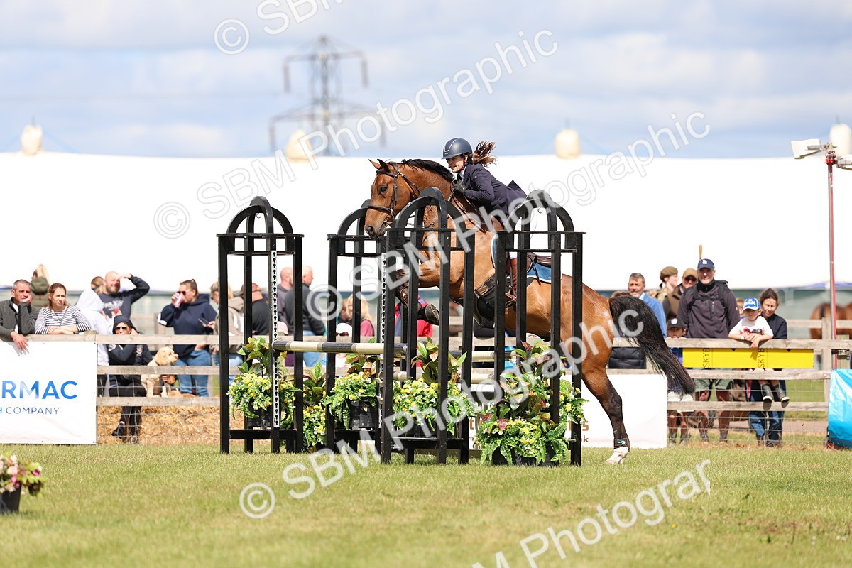 SBM_13673 - Class 206 - Senior Newcomers - 1.10m Open