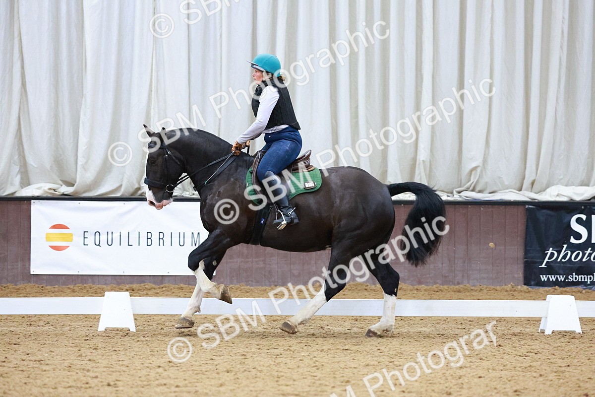 1I0A0911 - Class 3-6 - Prelim 1-Novice 2