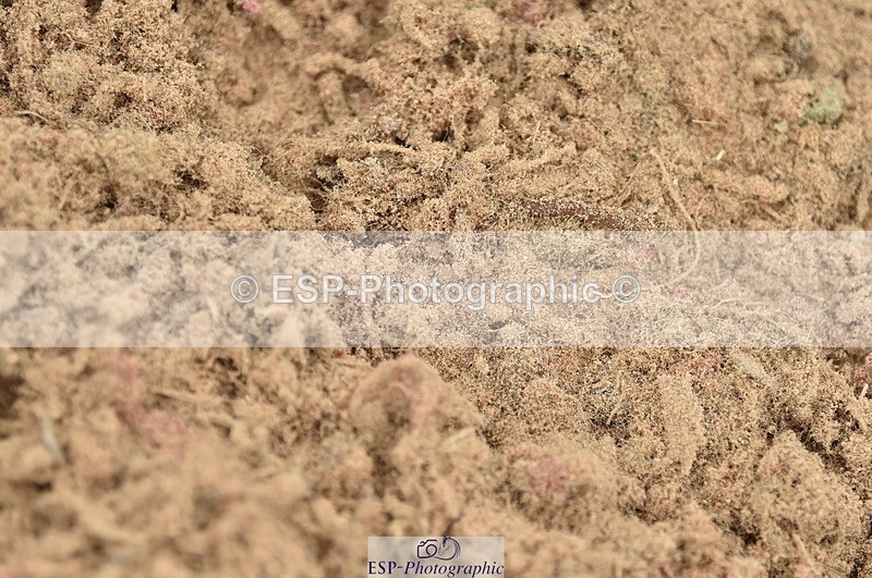 230611A-113024-04798 - Cls 33 95cm Amateur Qualifier