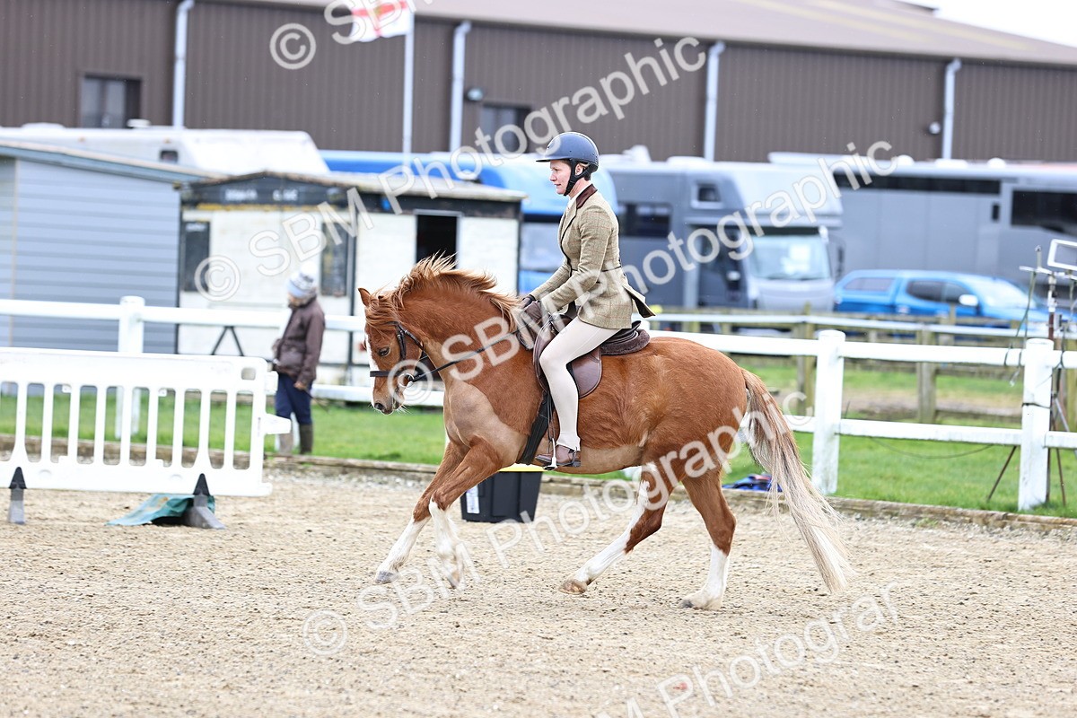 SBM_006819 - Class 29 - 30 - M&M Pure Novice Small-Large Breeds