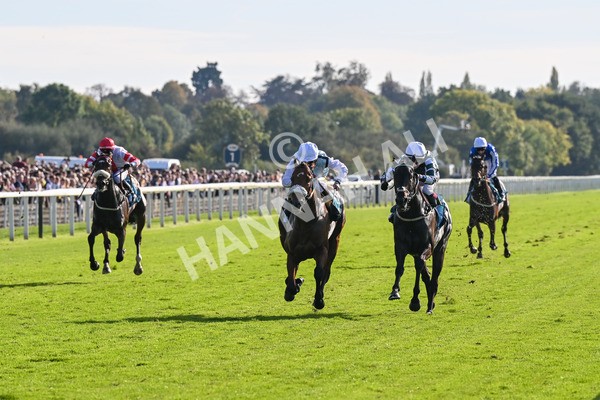 111025-Race 3-Laazm-8572 - Race 3 Coral 'Daily Reward Shaker' For Free Nursery Handicap at York