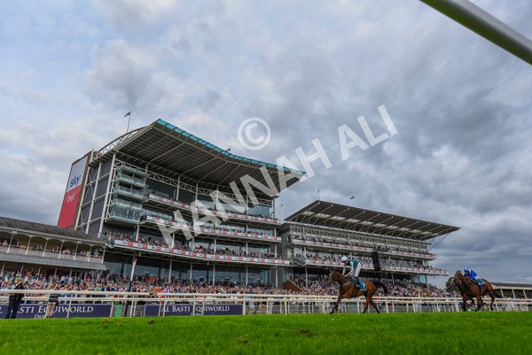 280723-Race 5-Midnight Mile-8874 - Race 5 7.15pm British EBF 40th Anniversary Lyric Fillies' Stakes