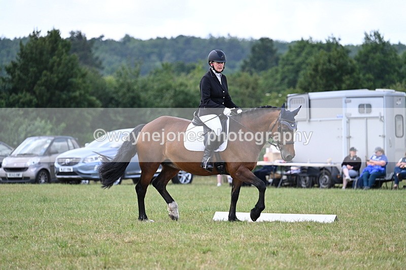 WJ7_5346 - Time 11:22 to 11:51