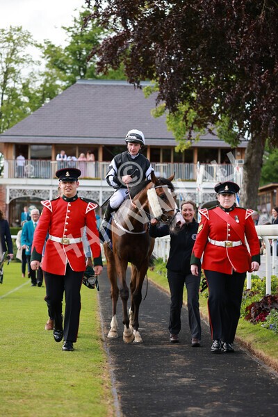 yr21052022r6-31 - Race 6: 4:42pm Yorkshire Regiment Stakes