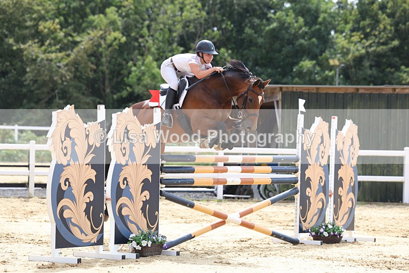 3E7A4338 - Class 8: Senior Foxhunter/1.20 open