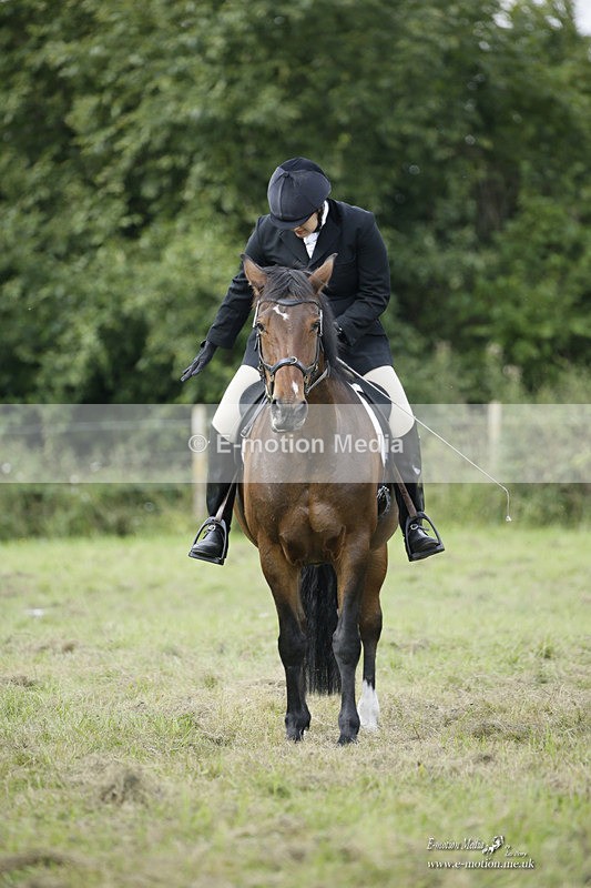 BVRC 120921 300 - Bourne Valley Riding Club UA Dressage & Show Jumping 12/09/21