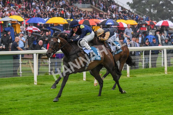 140723-Race 5-Monte Linas-0515 - Race 5 4.25pm Coopers Marquees Handicap