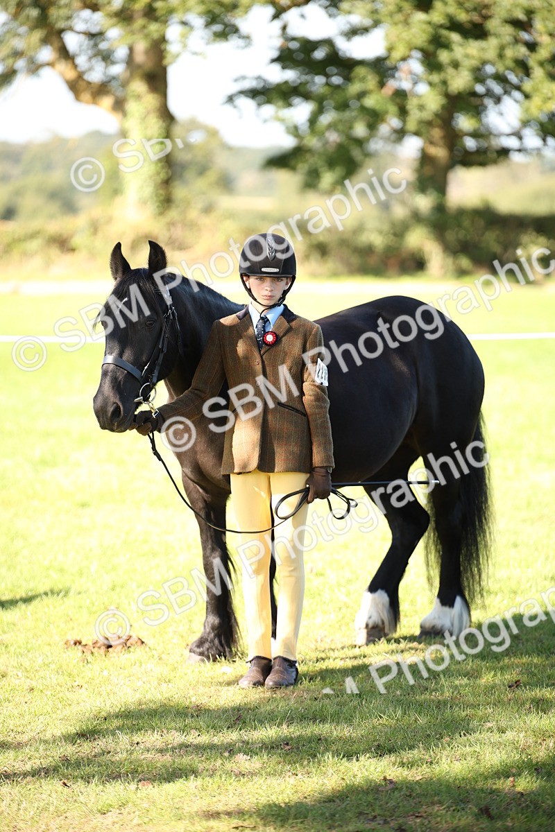 SBM_36670 - S10 - Best In Hand Horse & Pony