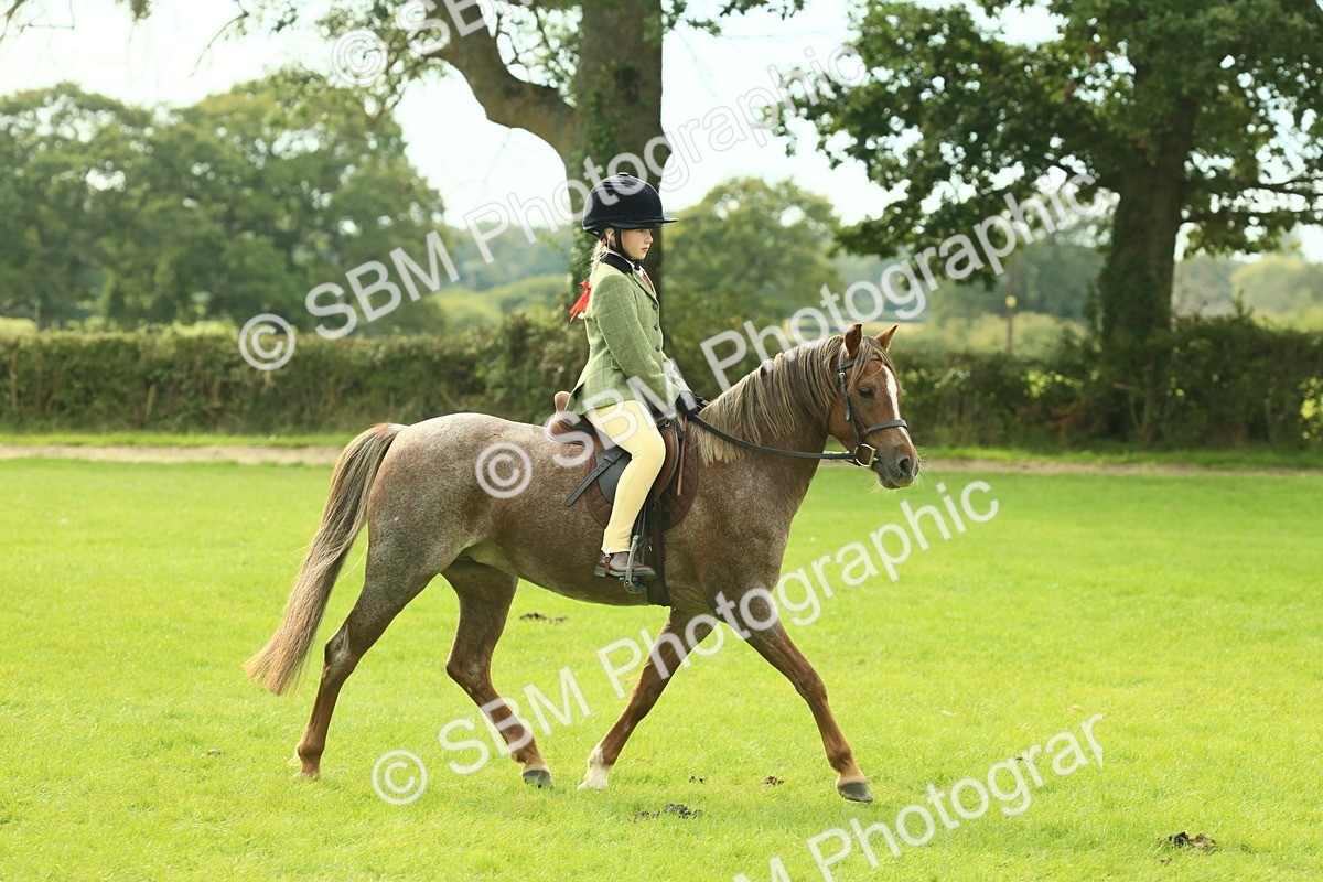 SBM_69800 - S59 - Mountain & Moorland Ridden Small Breeds