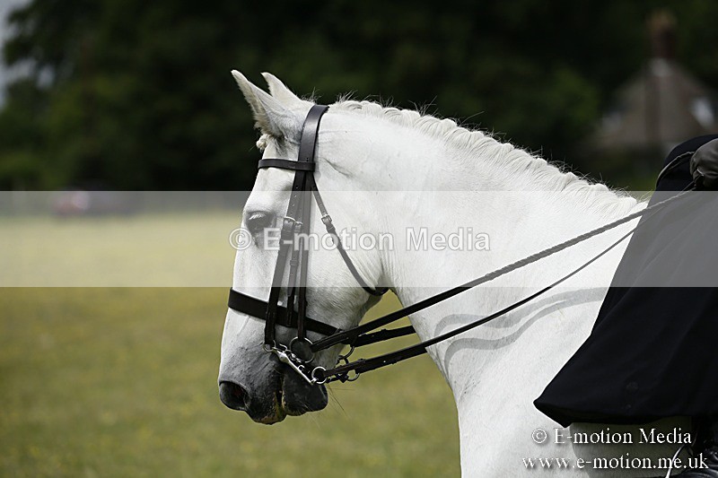 BVR160717-1618 - Side Saddle Classes 16/07/17
