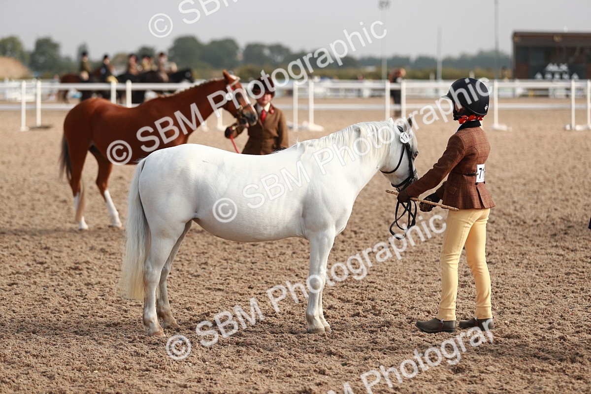 SBM_09903 - Class 203 Young Handler, 10 years and under