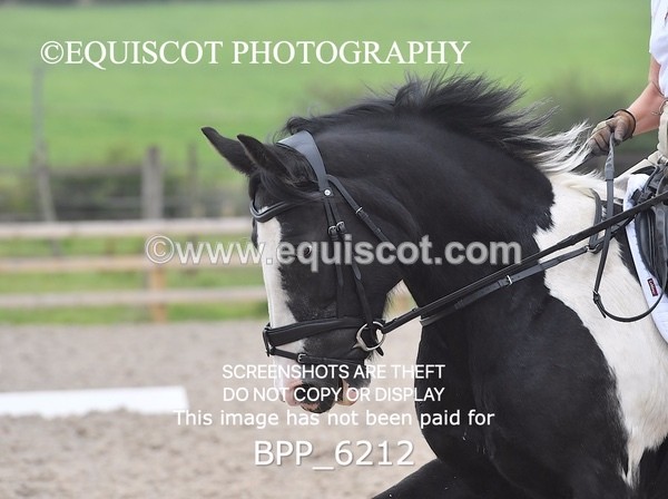 BPP_6212 - MFS PRELIM W LONG ARENA