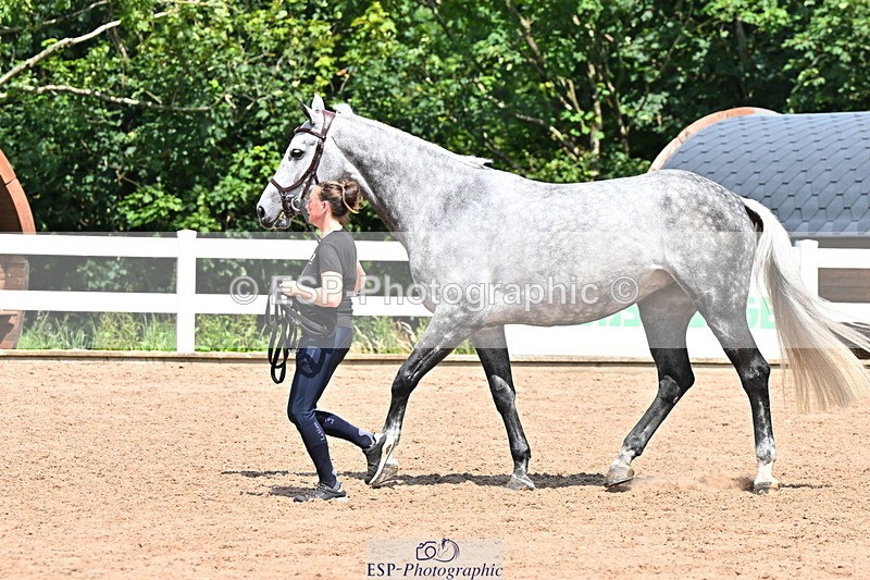 240718A-105310-01655 - Trot Up 1pm to 2pm