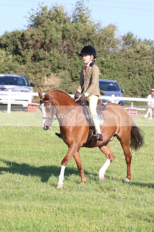 JPP_1057 - Class 17: Cornish Combination First Ridden