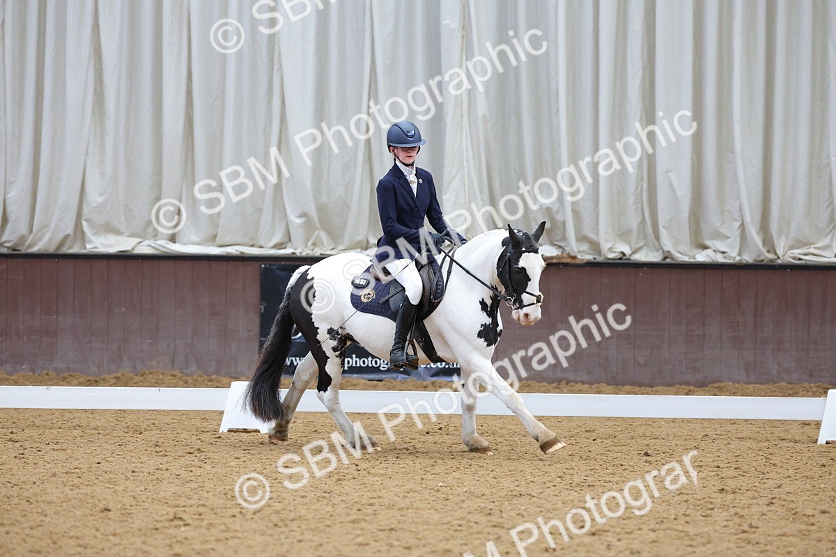 SBM_003084 - Novice