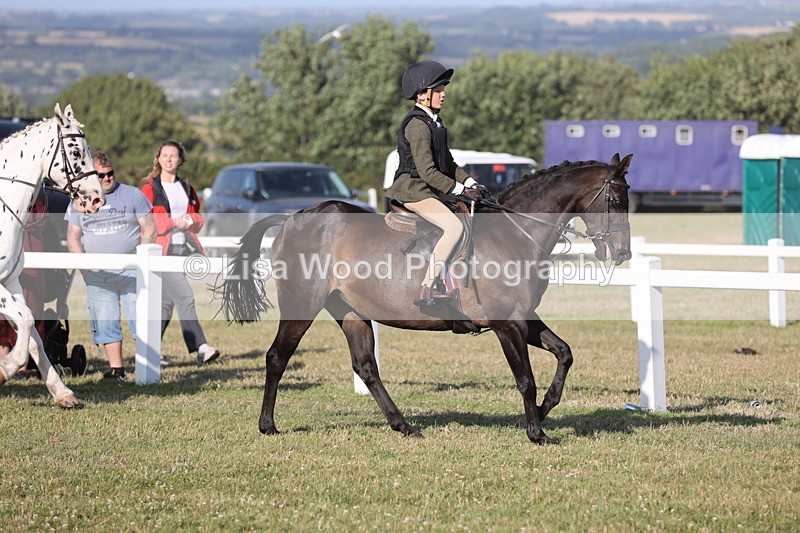 JPP_3290 - Class 21: Working Hunter 80cm